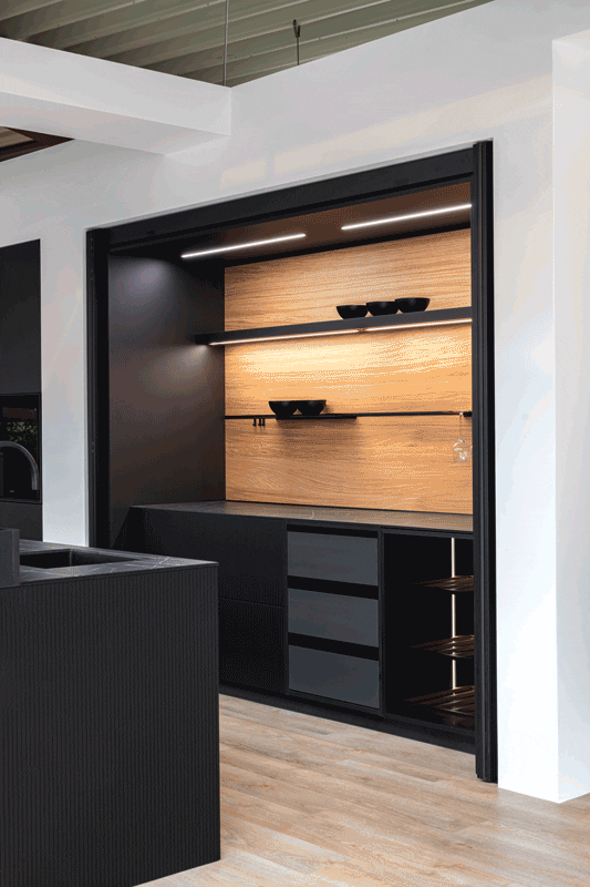 Pocket Door in Action